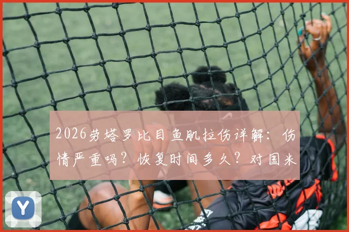 2026劳塔罗比目鱼肌拉伤详解:伤情严重吗?恢复时间多久?对国米影响多大?附位置图解