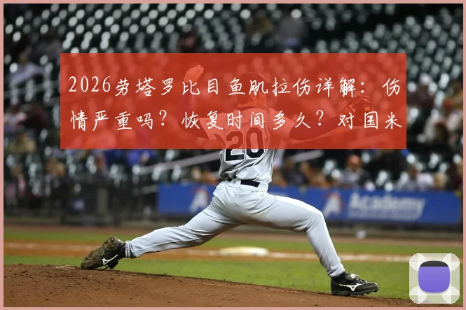 2026劳塔罗比目鱼肌拉伤详解：伤情严重吗？恢复时间多久？对国米影响多大？附位置图解